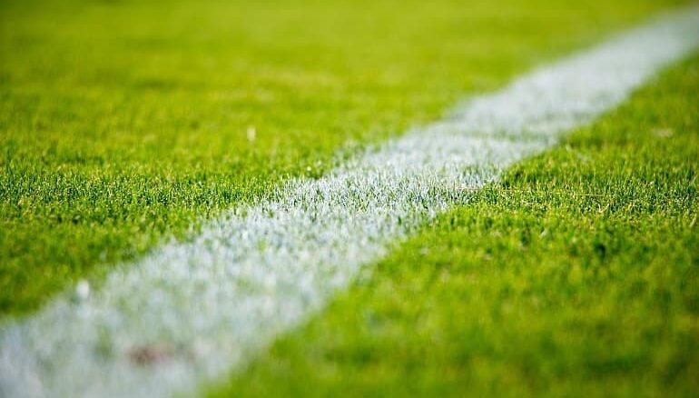 grass-field Grass Field